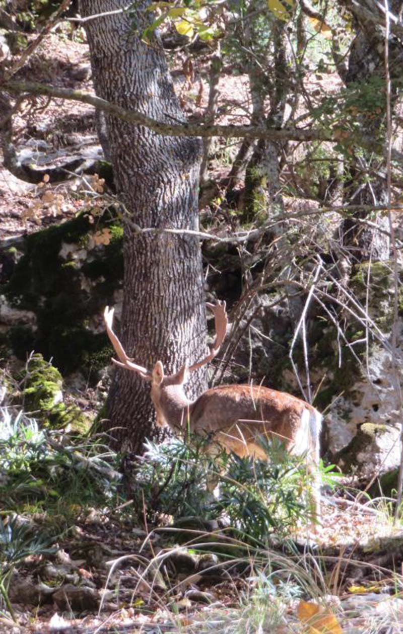 Sierra de Cazorla